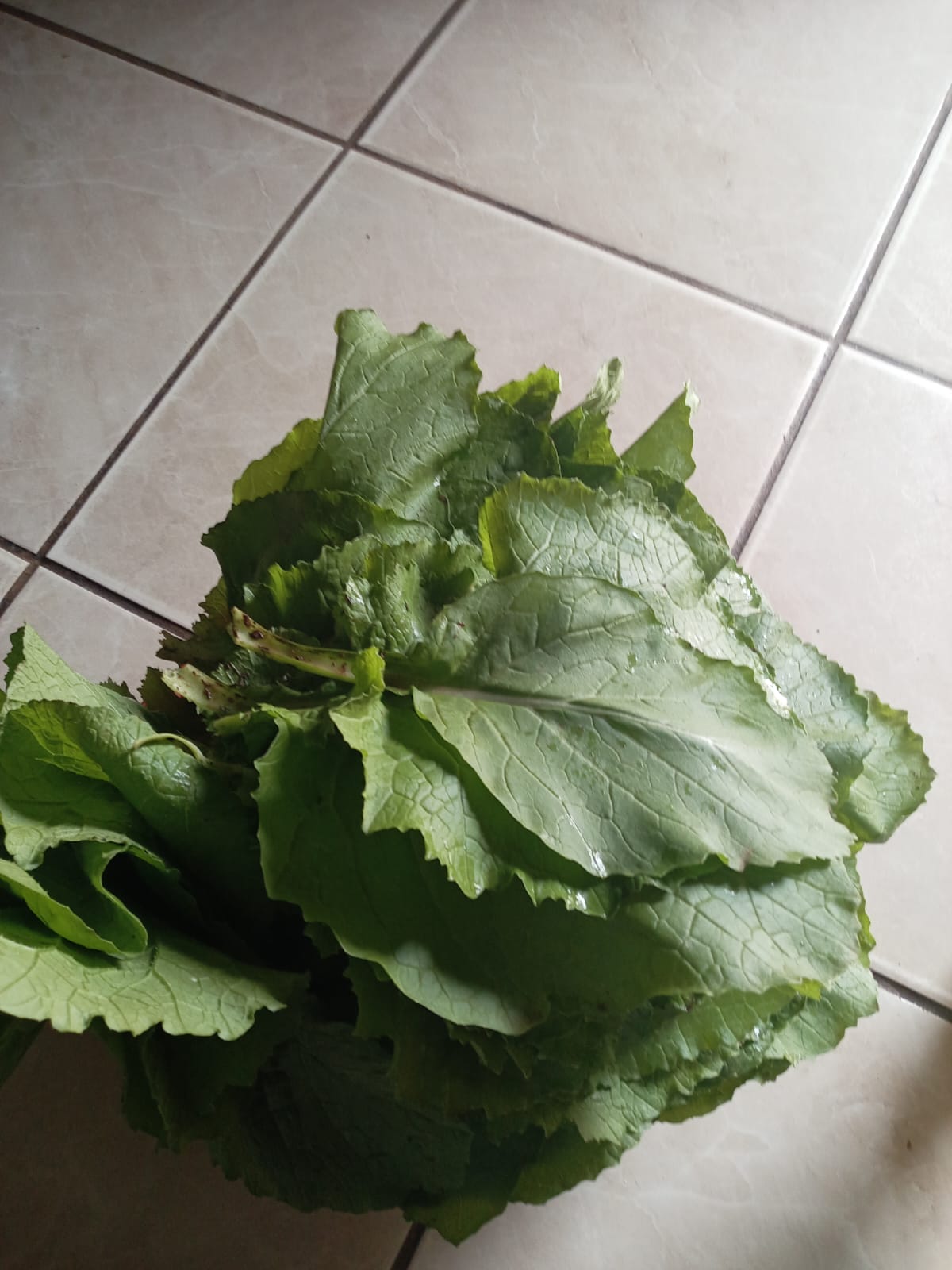 IMG-20250619-WA0002
