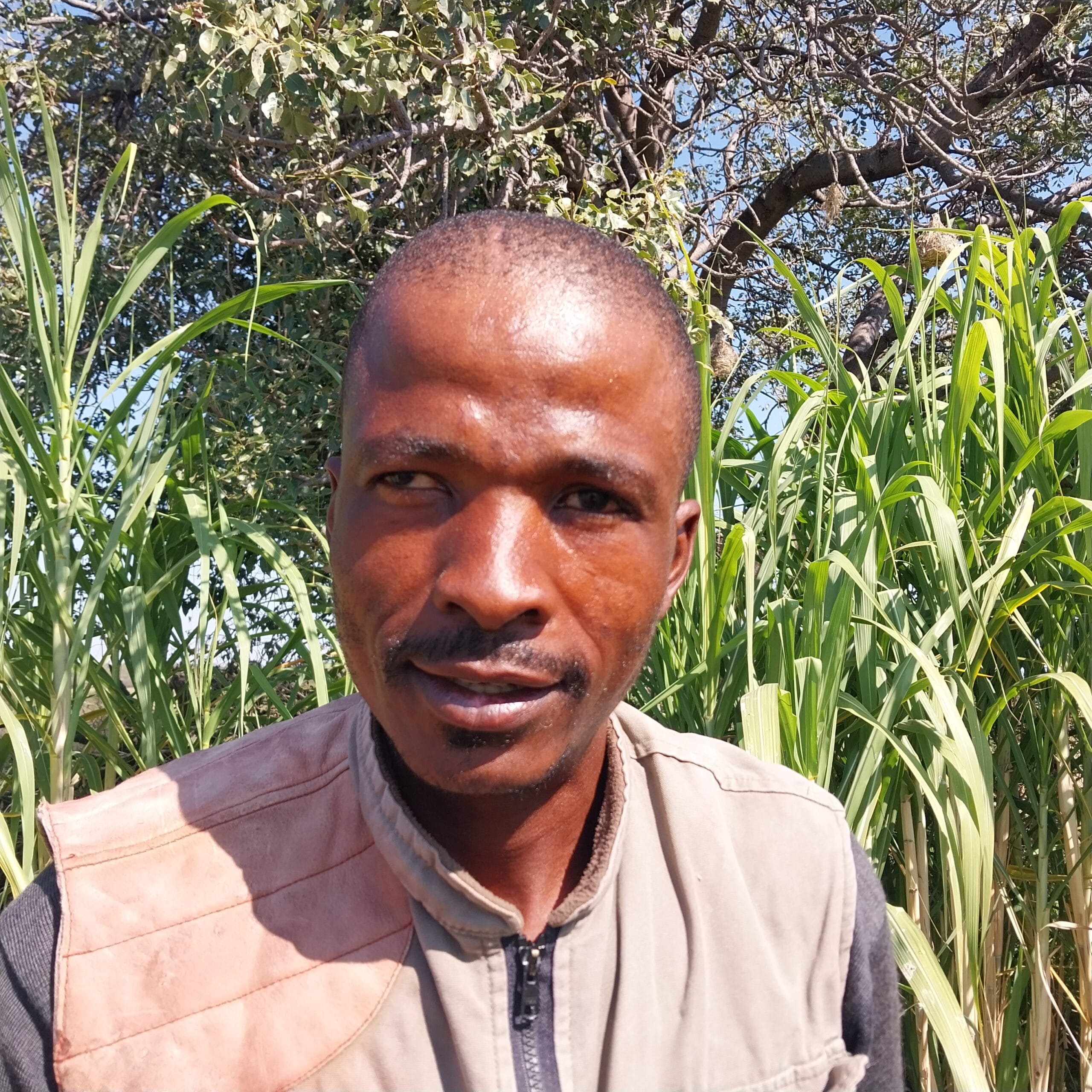 Tshelane Laurence Moeng Kome Ga Marishane20250529_113148 (4)